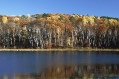 Fall Colors Near Isabella, Minnesota