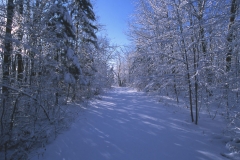 Winter Scene - Rural Carlton County
