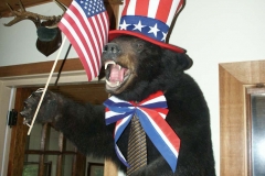 July 4th Bear